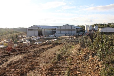 Proenca derovo.JPG