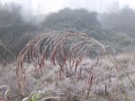 Frio 01.jpg