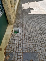 Armadilha