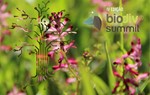 Biodivsummit