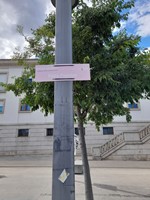 Frescura