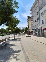 Calina
