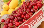 Cereja