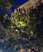 Escondidos