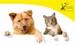 Esterilizacao