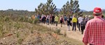 Passeios