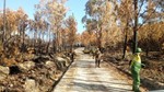 Sapadores