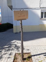 Espera