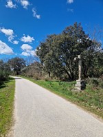 Confraria Caminhos