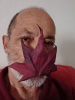 Manuel Silvaterra