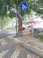 Castelo Branco Vandalismo