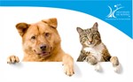 Rodao Esterilizacao