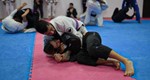 Proenca Jiujitsu