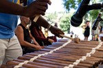 Proenca Djembe