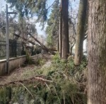 Castelo Branco Tempo