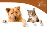 Rodao Esterilizacao