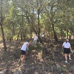Guardioes Floresta