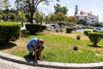 Castelo Branco Rega