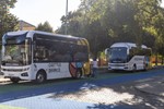 Castelo Branco Eletricos