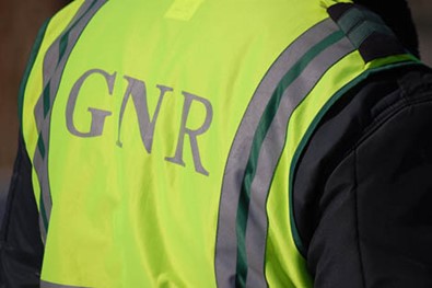 GNR11