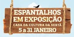 Serta Espantalhos Net