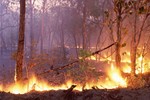 Imagens5cincendio20florestal1