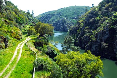 Caminhos xisto - vale do cabril.jpg