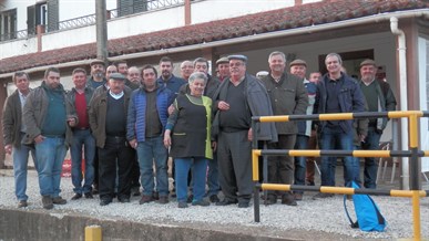Convivio Lampreia 01