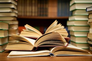 Biblioteca31