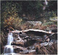 Perdigotos Passeio Apalaches 01