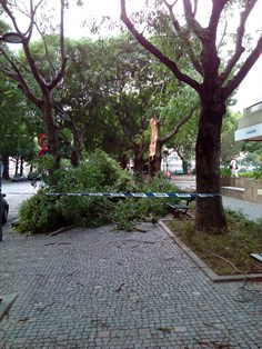 Nuno Alvares Vento 01